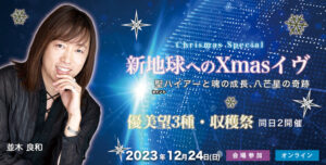 並木-クリスマス2023