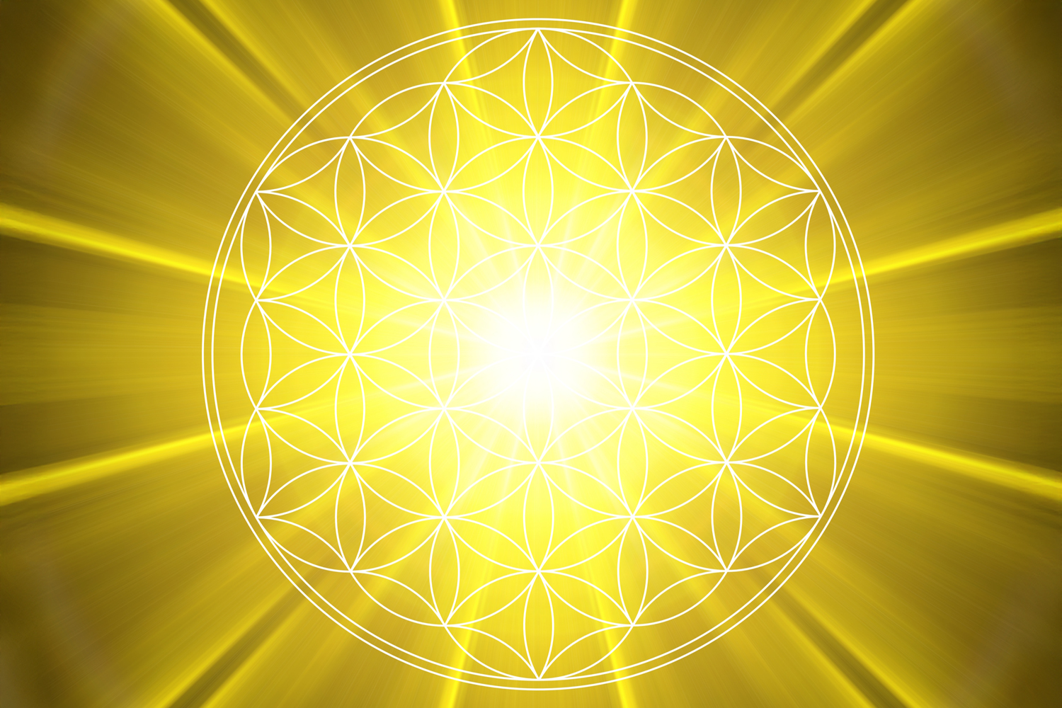 【2025年を振り返り、2026年に意識を向ける】並木先生からメッセージ！