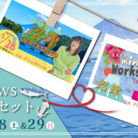 沼津ws セット販売